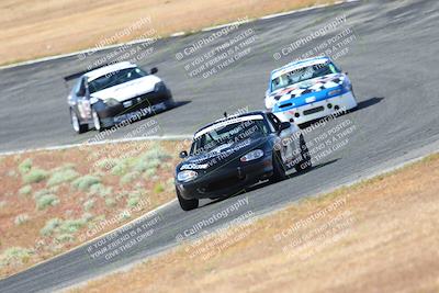 media/May-06-2023-Lucky Dog Racing (Sat) [[8f2256f436]]/Turn 2 10a/